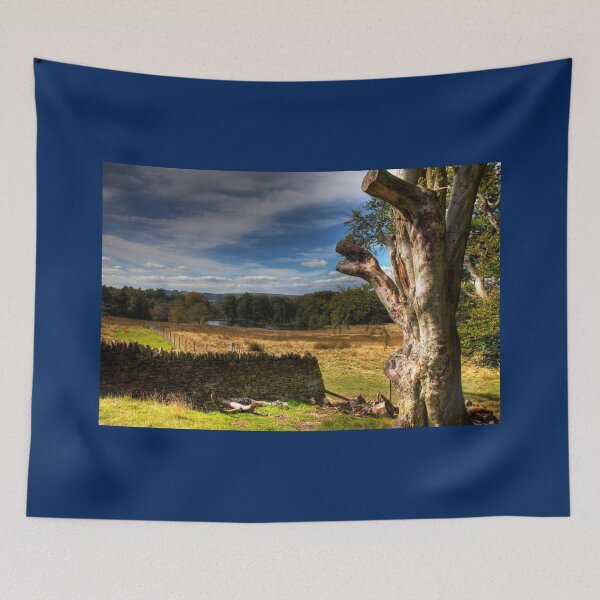 Item preview, Peak District Longshaw Estate designed and sold by Paul Thompson Photography.