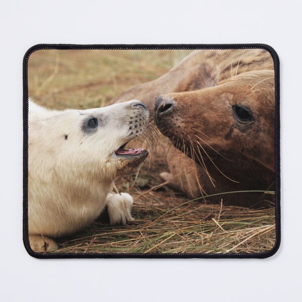 Item preview, Feed Me designed and sold by Paul Thompson Photography.