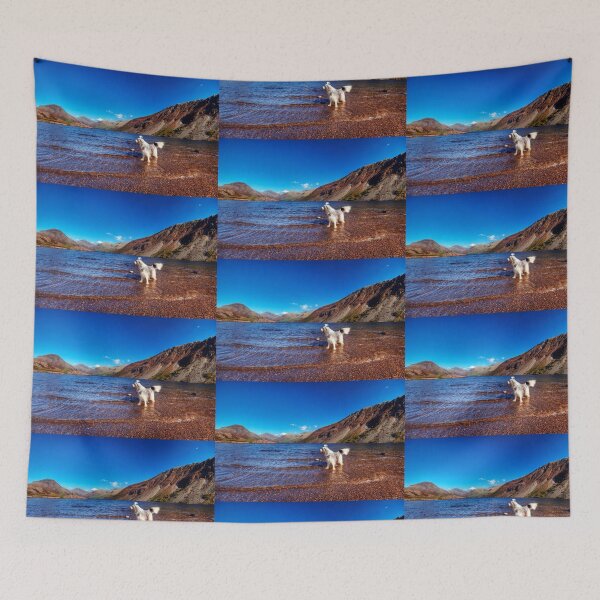 Item preview, Bailey @ Wastwater designed and sold by Paul Thompson Photography.