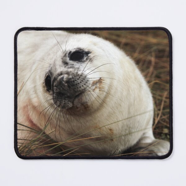 Item preview, How Cute Am I? designed and sold by Paul Thompson Photography.