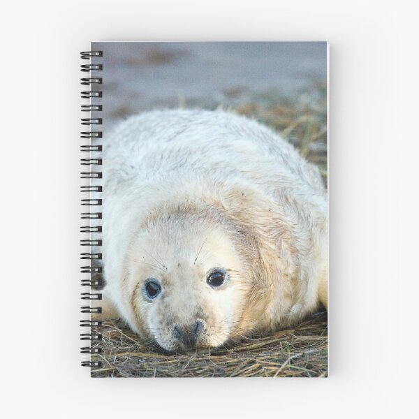 Item preview, Donna Nook Seal designed and sold by Paul Thompson Photography.
