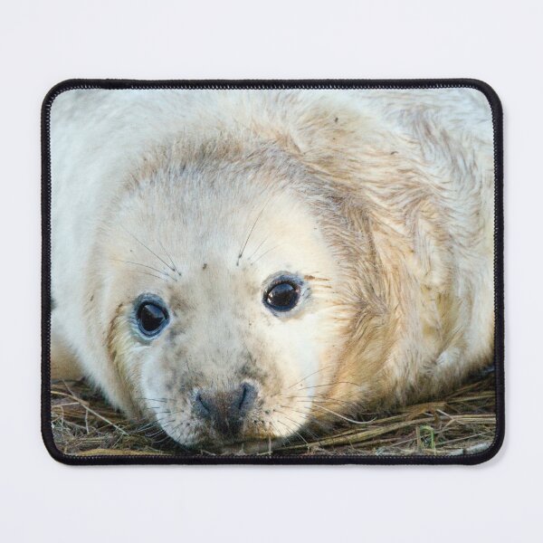 Item preview, Donna Nook Seal designed and sold by Paul Thompson Photography.