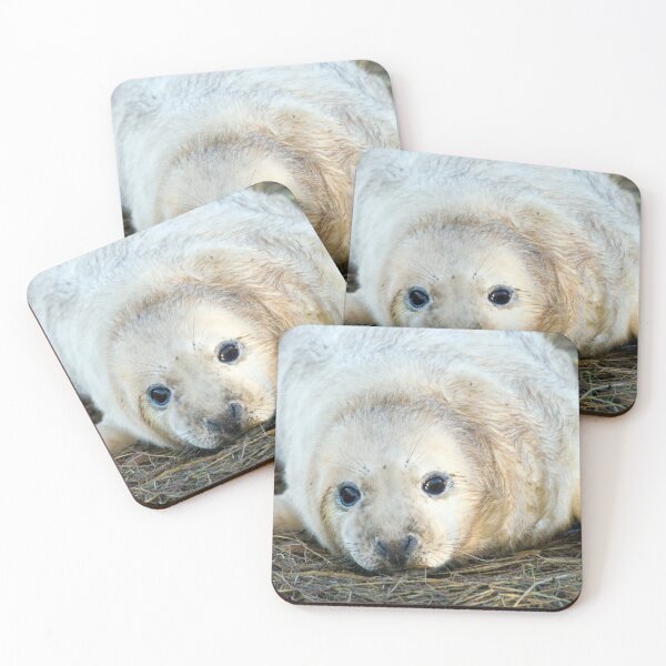 Item preview, Donna Nook Seal designed and sold by Paul Thompson Photography.