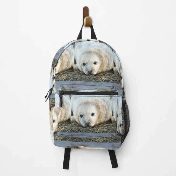 Item preview, Donna Nook Seal designed and sold by Paul Thompson Photography.