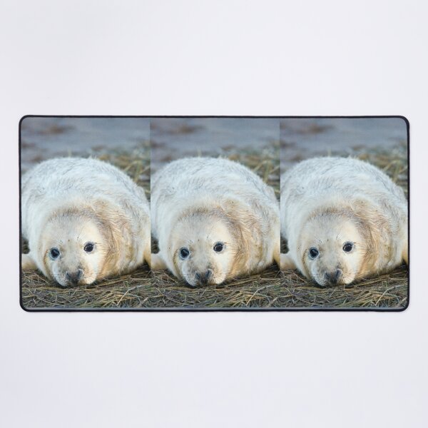 Item preview, Donna Nook Seal designed and sold by Paul Thompson Photography.