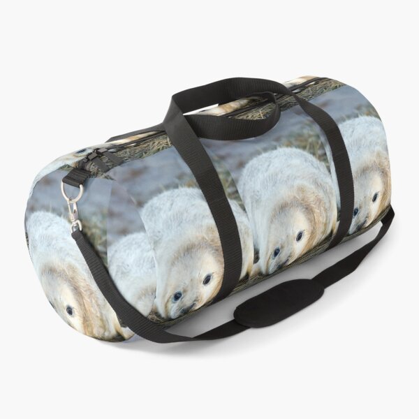 Item preview, Donna Nook Seal designed and sold by Paul Thompson Photography.