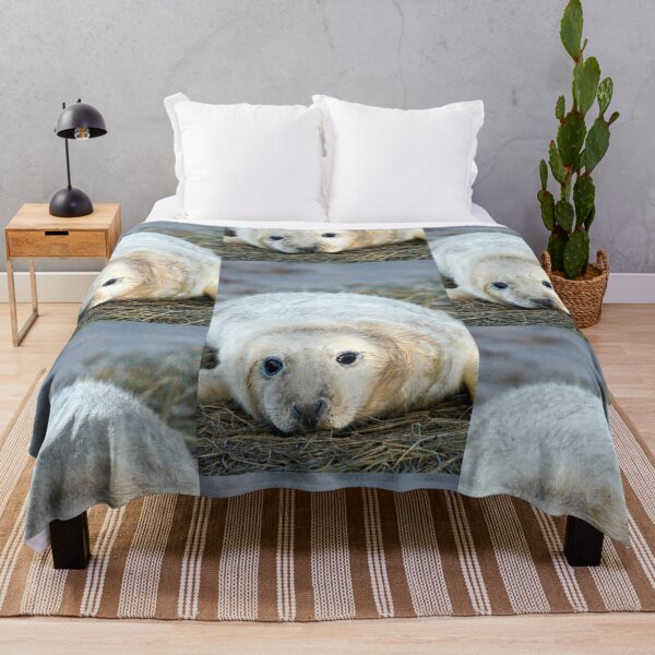 Item preview, Donna Nook Seal designed and sold by Paul Thompson Photography.