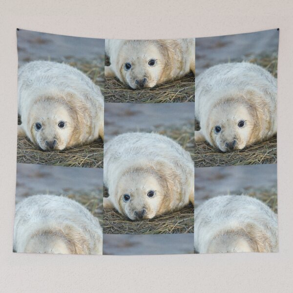 Item preview, Donna Nook Seal designed and sold by Paul Thompson Photography.