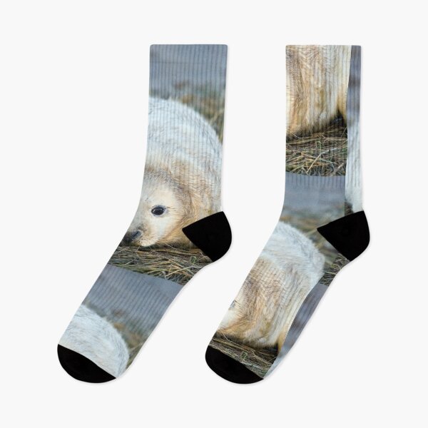 Item preview, Donna Nook Seal designed and sold by Paul Thompson Photography.