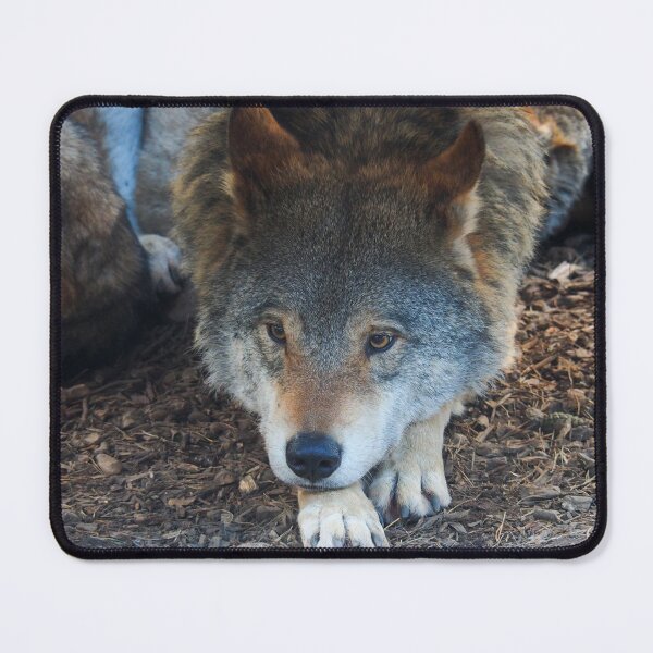 Item preview, Wolf designed and sold by Anna Fairley Nielsson.