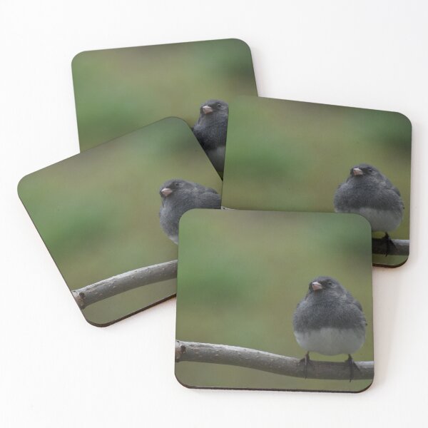 Item preview, A junco in the garden designed and sold by Claude Laprise.