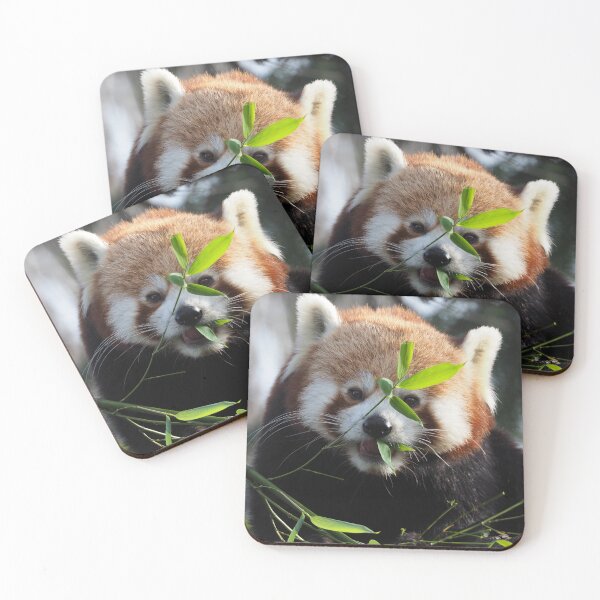 Item preview, Red Panda designed and sold by Anna Fairley Nielsson.