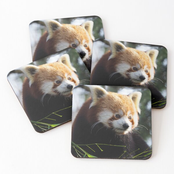 Item preview, Red Panda designed and sold by Anna Fairley Nielsson.
