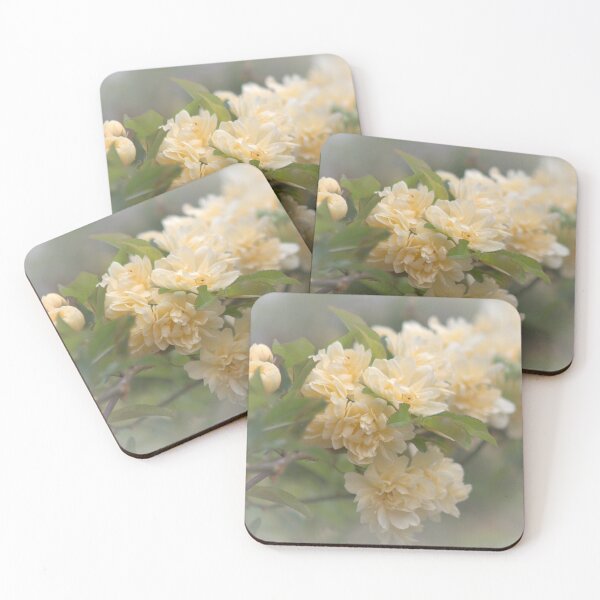 Item preview, Old Roses designed and sold by DVJPhotography.