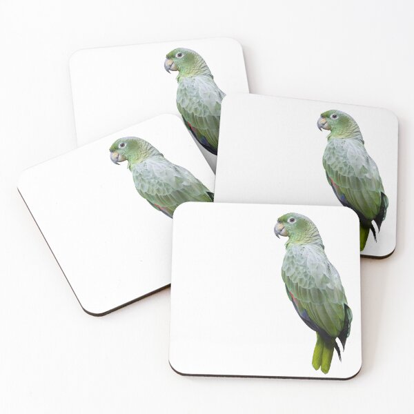 Item preview, Mealy parrot designed and sold by The Sleepy Monito.