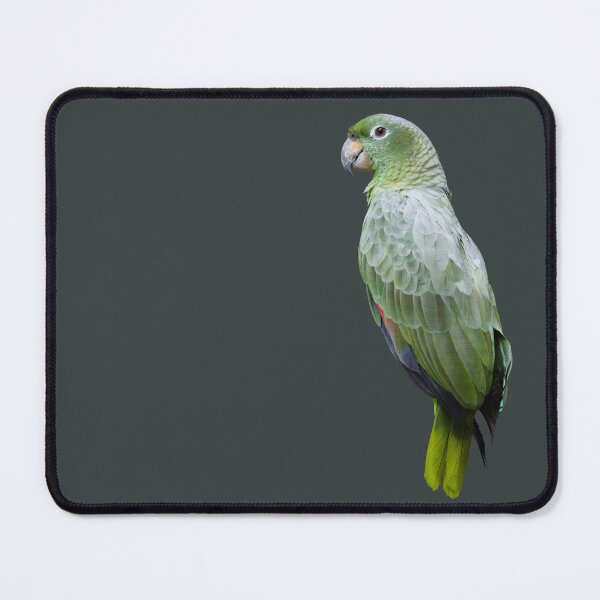 Item preview, Mealy parrot designed and sold by The Sleepy Monito.