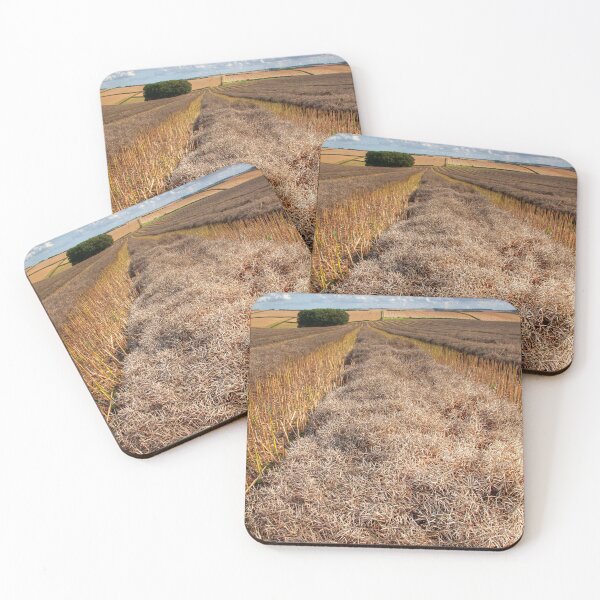 Item preview, Lincolnshire Wolds  designed and sold by Paul Thompson Photography.