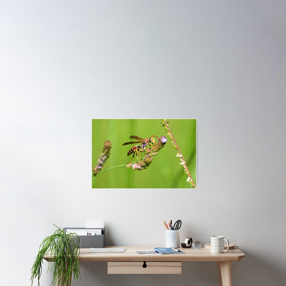 Item preview, Poster designed and sold by DAWNESROMEO.
