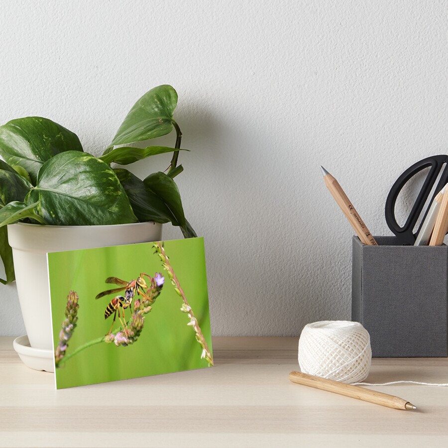Item preview, Art Board Print designed and sold by DAWNESROMEO.
