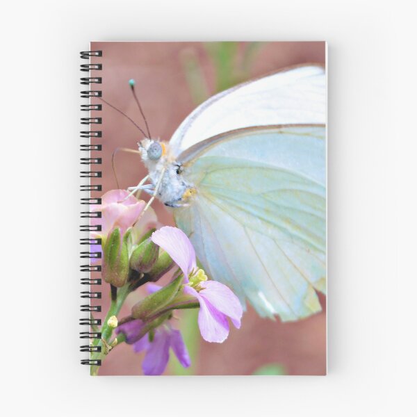 Item preview, Great Southern White designed and sold by What I See by Dawne.