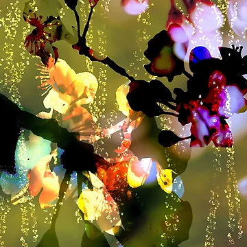 Artwork thumbnail, Spring Rains by Deborah Milligan