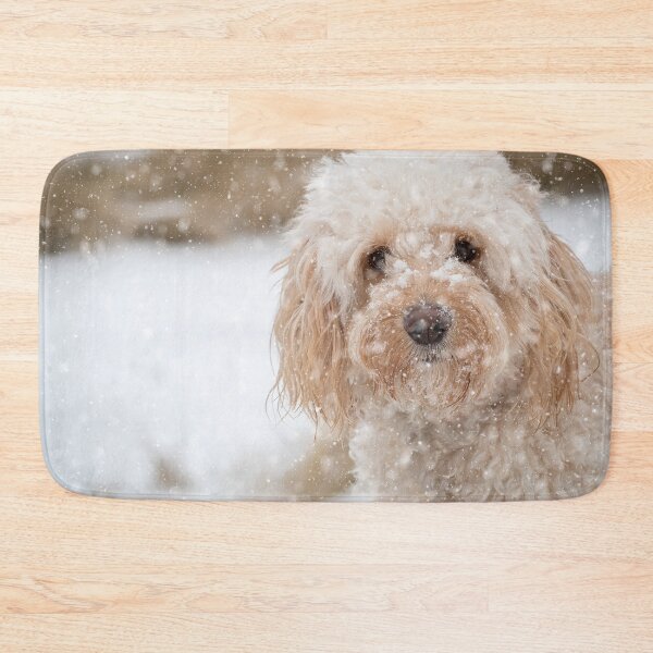 Item preview, A beautiful Cockapoo in the snow designed and sold by CarpenterPhoto.
