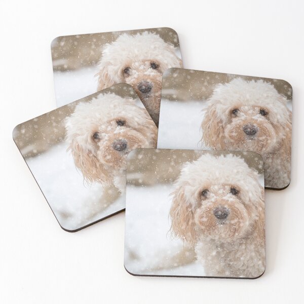 Item preview, A beautiful Cockapoo in the snow designed and sold by CarpenterPhoto.