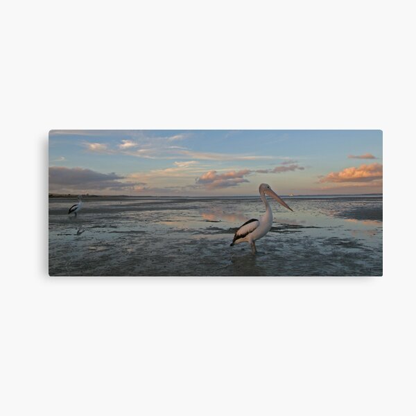Item preview, Mr Percival, Streaky Bay designed and sold by Bilgolaj.