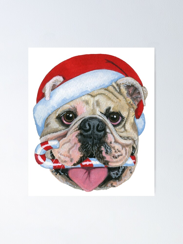 christmas english bulldog
