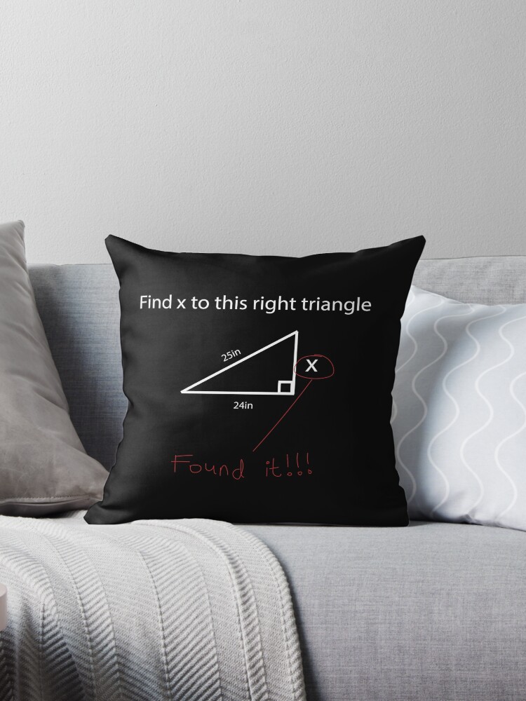 Math Geometry triangle meme finding x problem Throw Pillow