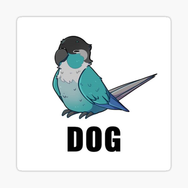 Jaiden animations funny eyes cute flying bird, parrot watching you funny   Sticker for Sale by SGS