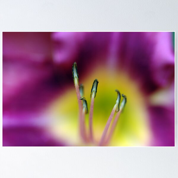 Item preview, Purple Flower designed and sold by Colin Leal.