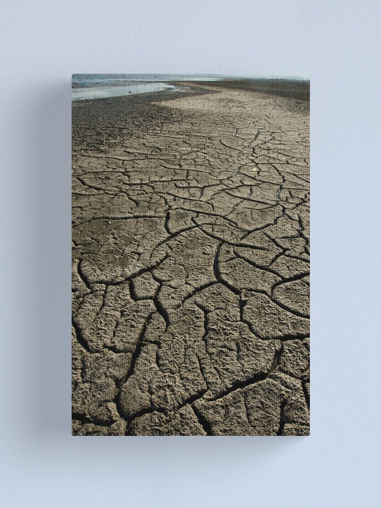 Alternate view of Salton Sea: Evaporation Canvas Print