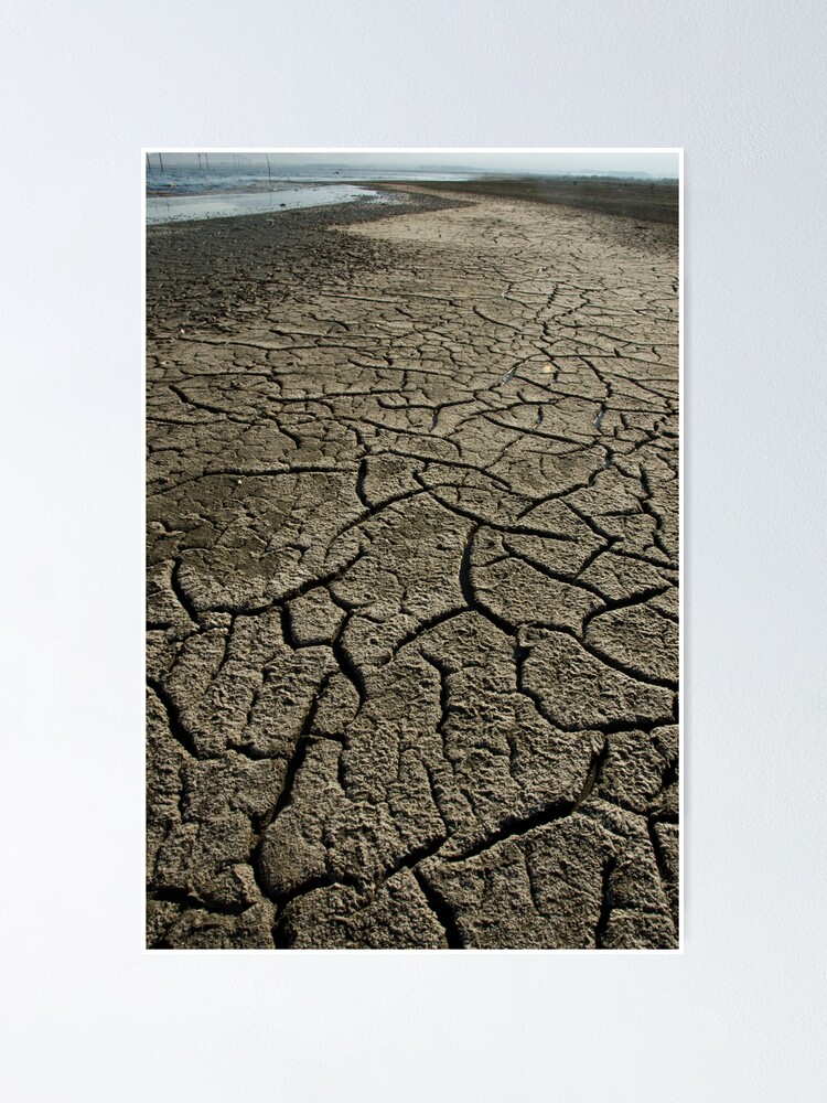 Alternate view of Salton Sea: Evaporation Poster