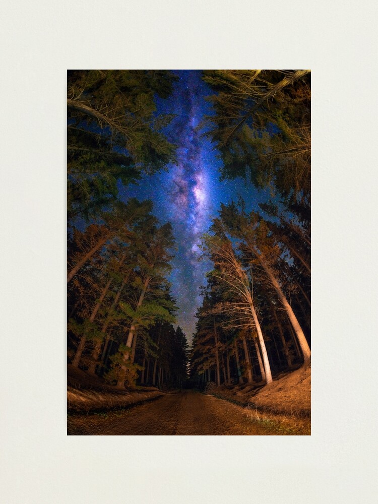 Alternate view of View from the Forest Photographic Print