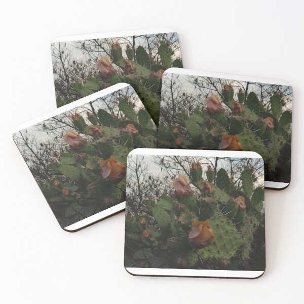 Item preview, Living semi desert flowers designed and sold by Abel-momo.
