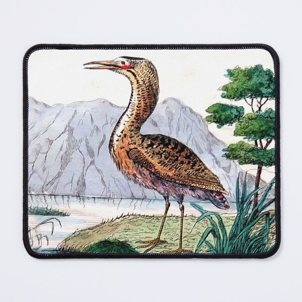 Item preview, Antique French Heron Engraving designed and sold by louisxvpod.