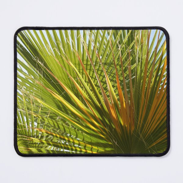Item preview, Palm Tree Photography designed and sold by anthonylonder.