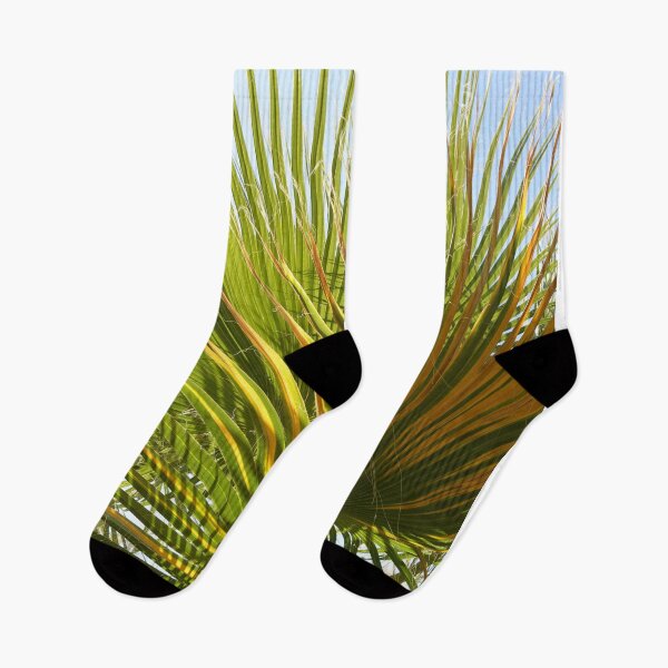 Item preview, Palm Tree Photography designed and sold by anthonylonder.