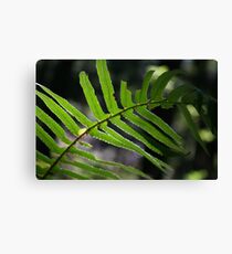 Sword Canvas Print