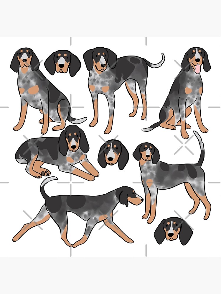 Bluetick Coonhound cute illustration pattern Art Board Print for