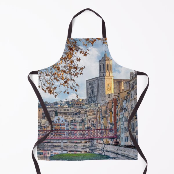 Item preview, Girona Cathedral, the Peixateries Velles Bridge, and the houses of Onyar Rive, Catalunya, Spain designed and sold by Marc Garrido Clotet.