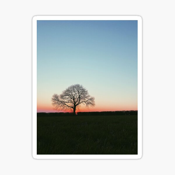 Item preview, Tree at sunset designed and sold by IsaacTHall.