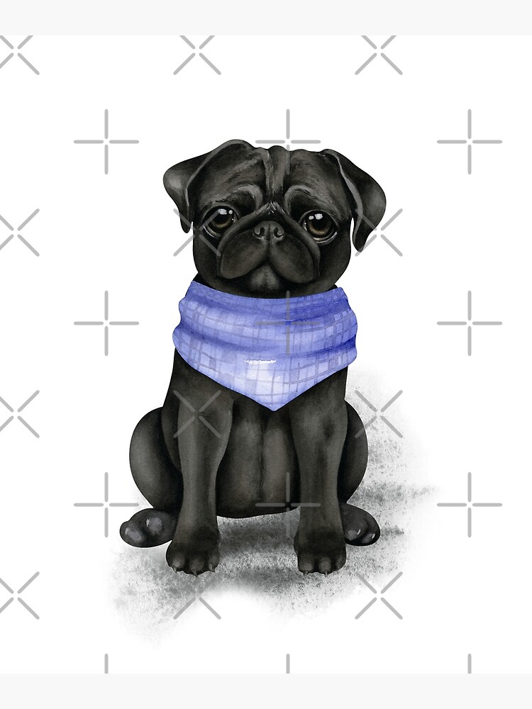 Pug shop with bandana