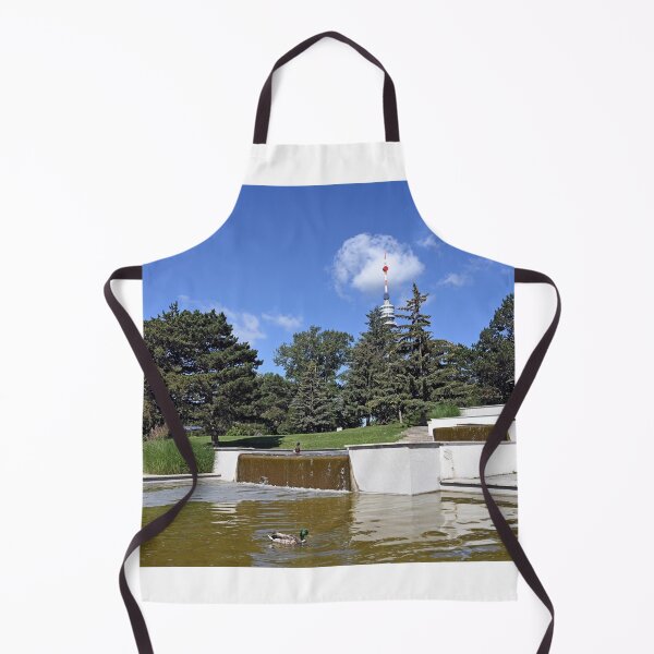 Item preview, fountain with ducks in Donaupark Vienna designed and sold by goceris.