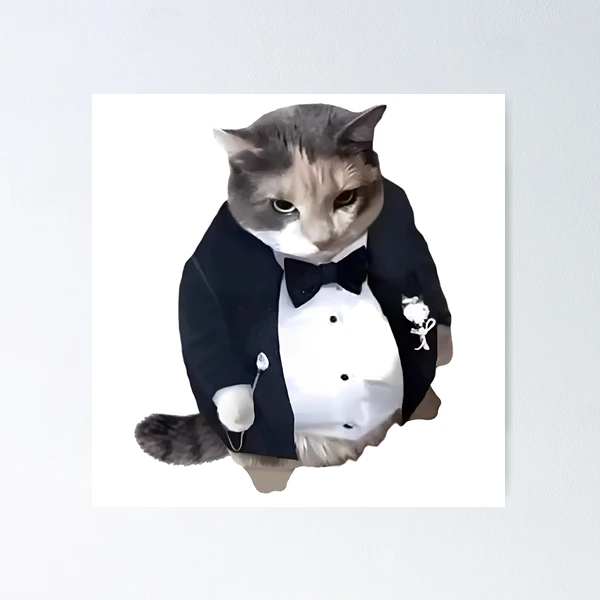 Tuxedo Cat Butt Men's Socks  Funny Gift for Cat Lover - Cute But