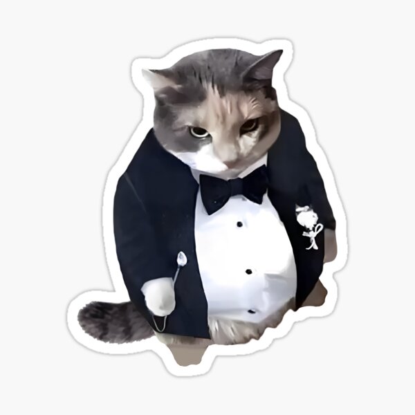 Humorous picture of a tuxedo cat