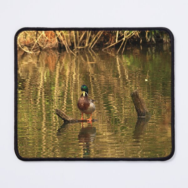 Item preview,  Preening or Posturing? designed and sold by moor2sea.