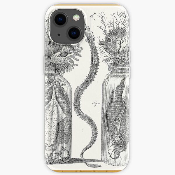 Cabinet of Curiosities - Frederik Ruysch Diorama 1720 - Squids, Lion Fish, Octopus, Ocean iPhone Soft Case