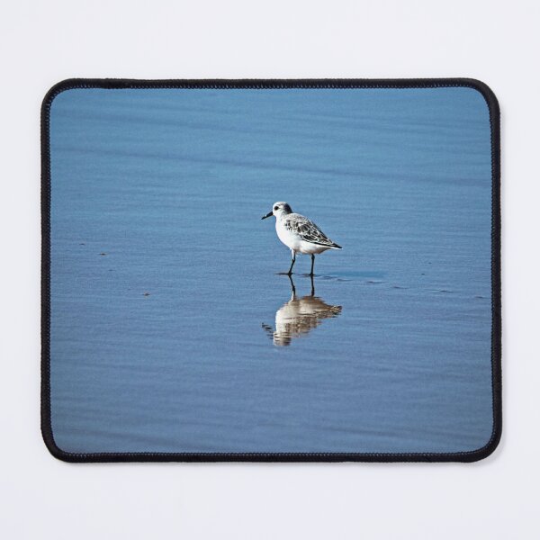 Item preview, Sandpiper Coastal Bird Beach Seashore designed and sold by Anna Lemos.